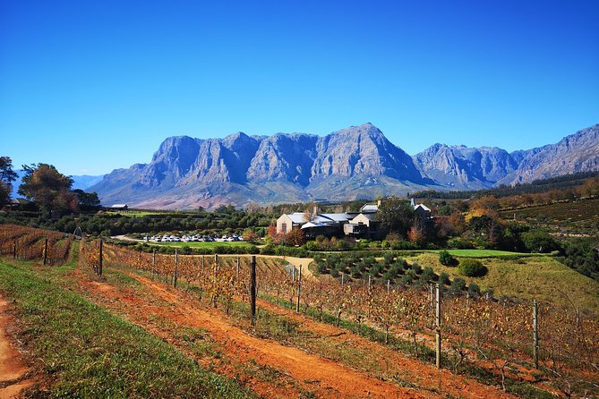 Full-Day Chocolate, Cheese, Olive and Wine Tour from Stellenbosch - Why this Stellenbosch tasting day works
