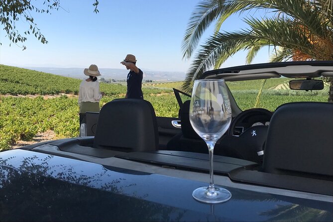 Full day in Cordoba between Vineyards and Olive Trees with a Convertible Car - The big picture: a private seven-hour food and wine day