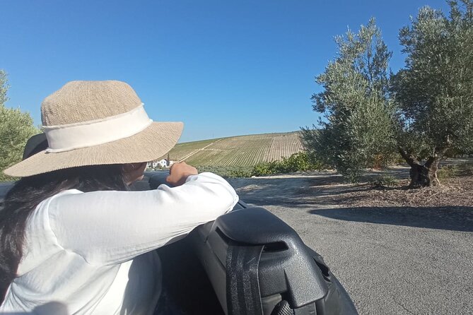 Full day in Cordoba between Vineyards and Olive Trees with a Convertible Car - Montilla’s olive trees and four oils