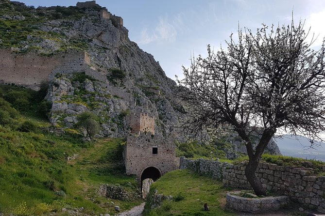 Full day tour Ancient Corinth with wine or olive oil tasting - What the $297.85 price really covers
