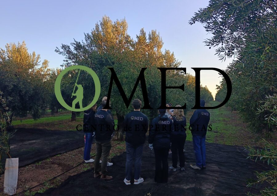 Granada in EVOO: Olive grove guided tour and sensory tasting - Inside OMED’s oil mill