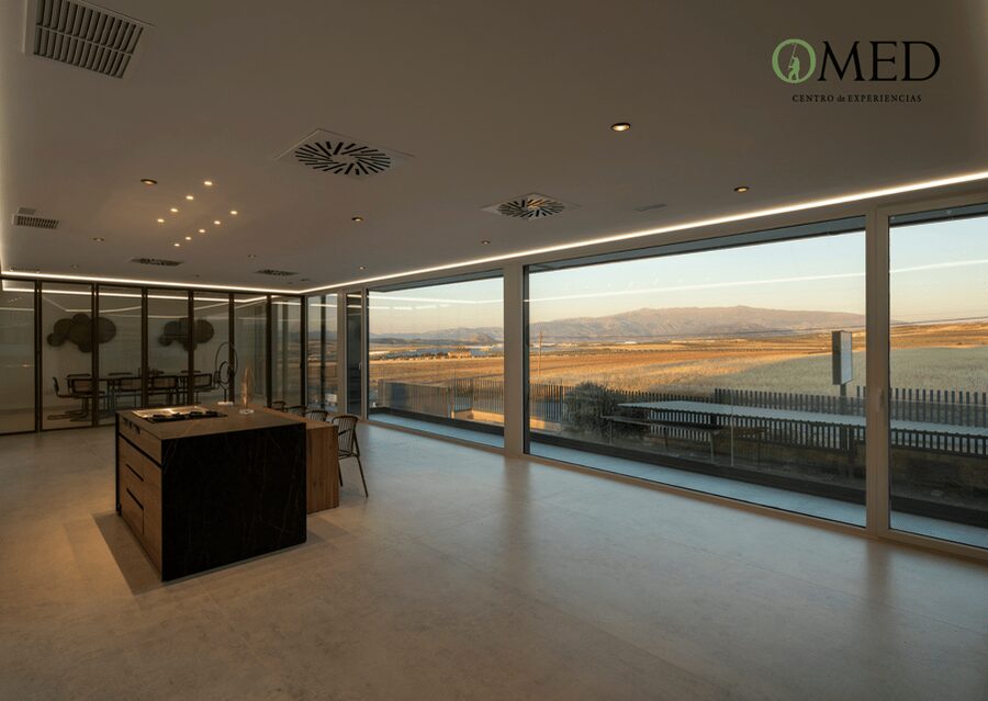 Granada in EVOO: Olive grove guided tour and sensory tasting - Is $47 per person good value?