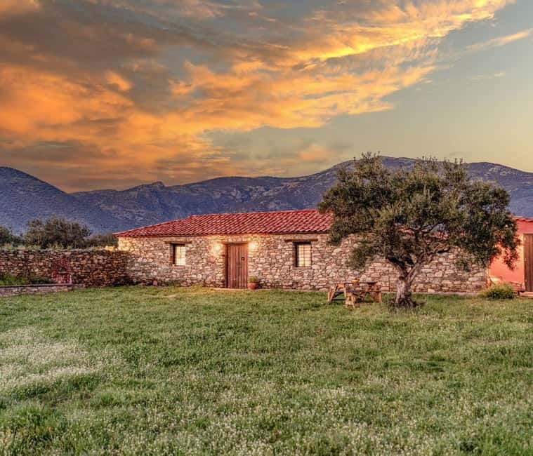 Greece in a Drop: Olive Grove Walk and Olive Oil Tasting - Key points to know before you go