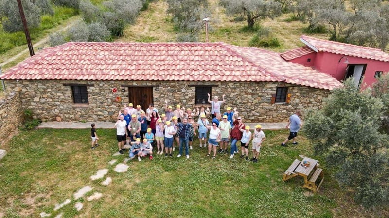 Greece in a Drop: Olive Grove Walk and Olive Oil Tasting - Bread, tomato, and feta make the lesson practical