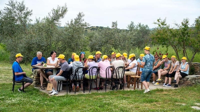 Greece in a Drop: Olive Grove Walk and Olive Oil Tasting - Greek and Italian oils give the tasting useful contrast