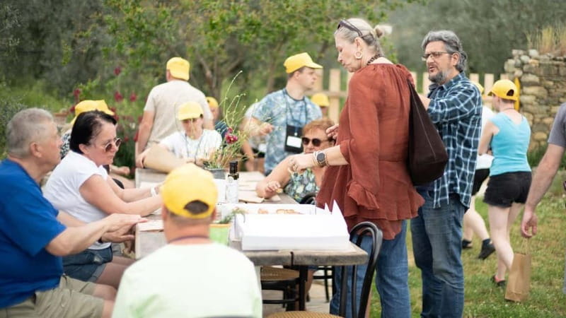 Greece in a Drop: Olive Grove Walk and Olive Oil Tasting - Practical details that can make the visit easier