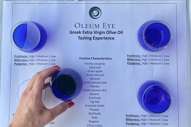 Greek Olive Oil Tasting Experience in Halkidiki - Meeting Harry above Thea Thalassa