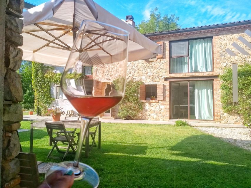 Guided Olive Oil & Wine Tour From Padua - Key points to know before you book
