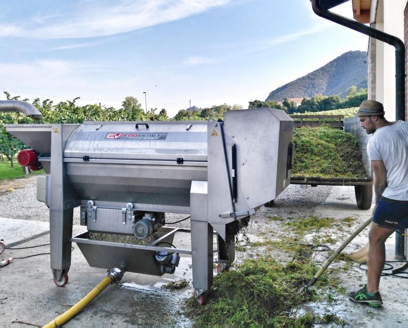 Guided Olive Oil & Wine Tour From Padua - Leaving Padua for the Euganean Hills