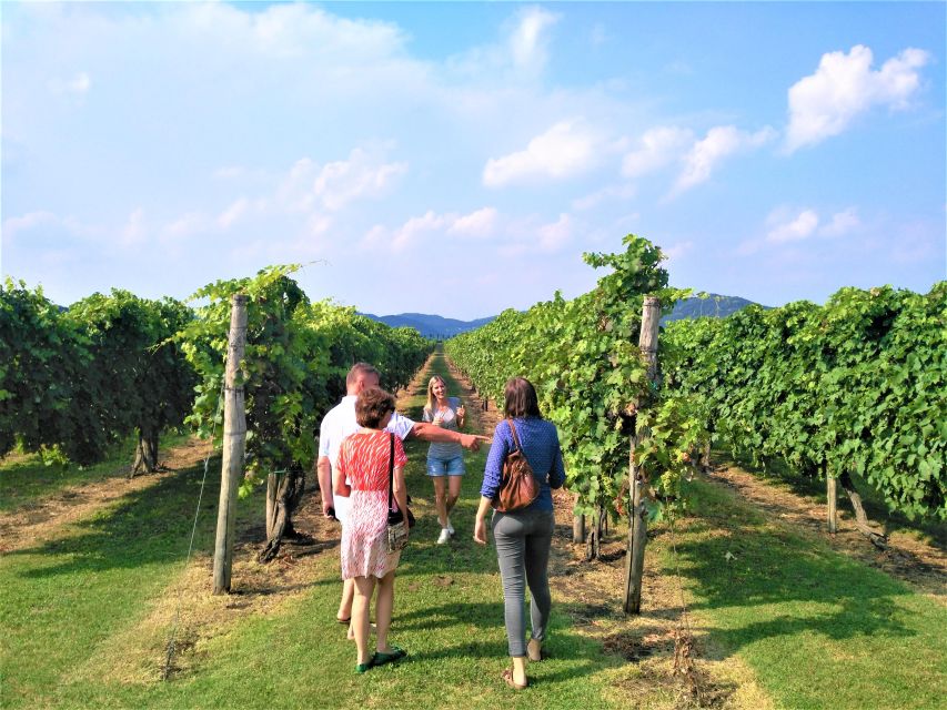 Guided Olive Oil & Wine Tour From Padua - The scenery is good, but commentary can be uneven
