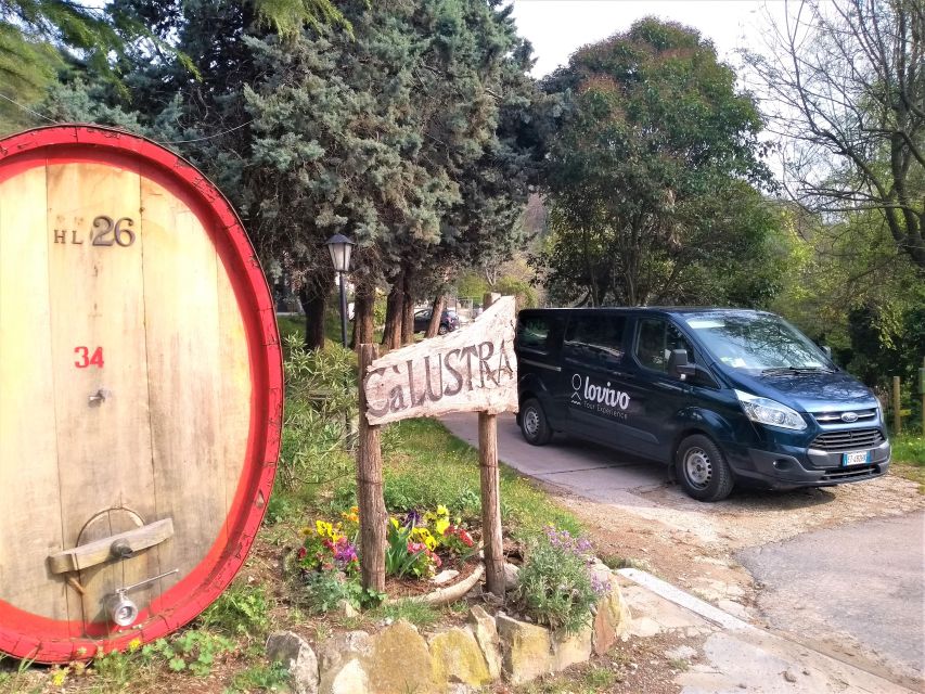 Guided Olive Oil & Wine Tour From Padua - Who should book this afternoon?