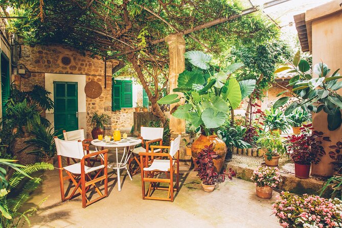 Guided Tasting Tour in 16th century House and Olive Oil Factory - Tips for making the most of the visit