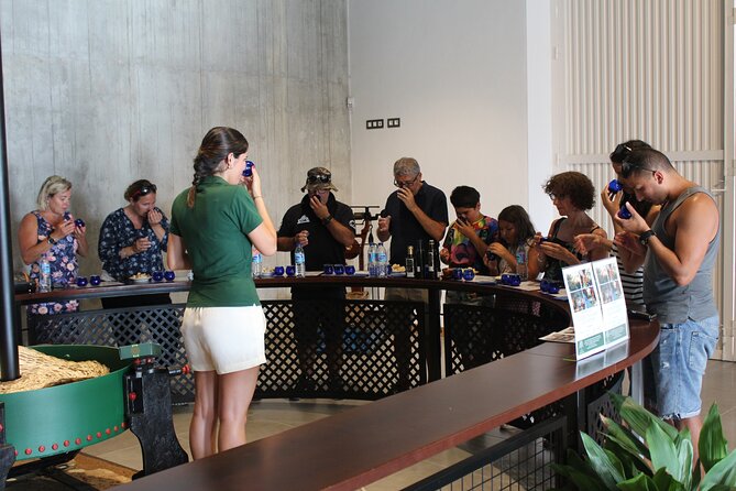 Guided tour and olive oil tasting in Alhaurin el Grande (Málaga) - Key points at a glance