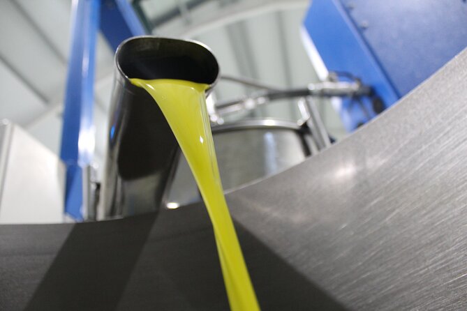 Guided tour and olive oil tasting in Alhaurin el Grande (Málaga) - The old mill and its working machinery
