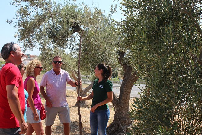 Guided tour and olive oil tasting in Alhaurin el Grande (Málaga) - Tasting three extra virgin olive oils
