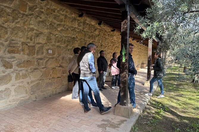 Guided tour of the Museum of Olive Culture Oil Tasting - Why this Jaén olive oil visit is worth your morning