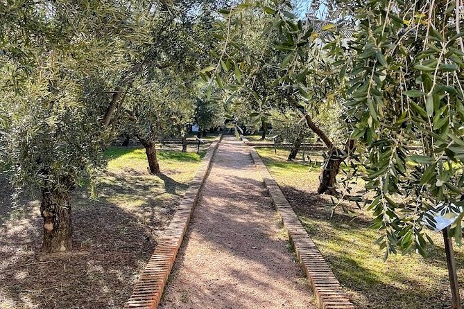Guided tour of the Museum of Olive Culture Oil Tasting - The garden and its 30 different olive trees