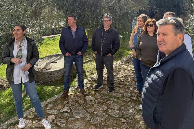 Guided tour of the Museum of Olive Culture Oil Tasting - Seeing the old milling and pressing systems