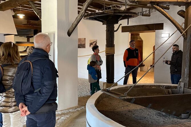 Guided tour of the Museum of Olive Culture Oil Tasting - The Oil Cathedral and its protected winery