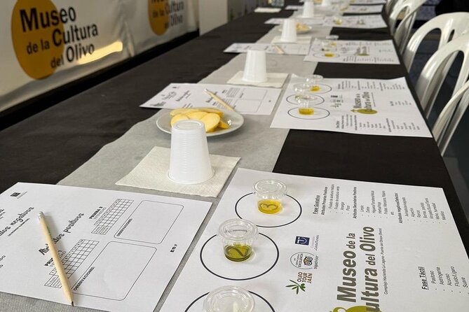 Guided tour of the Museum of Olive Culture Oil Tasting - Who will get the most from this experience