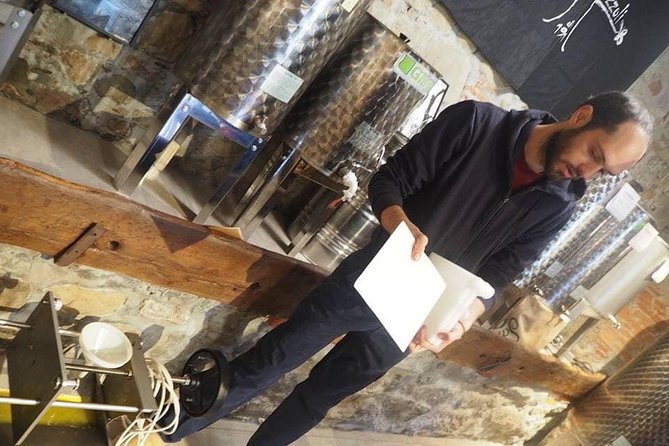 Guided tours of the olive grove with oil tasting. - Key points to know before booking