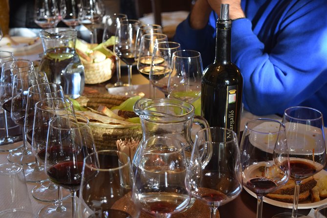 Guided Wine and Olive oil tasting - Why this Alghero tasting is worth your time