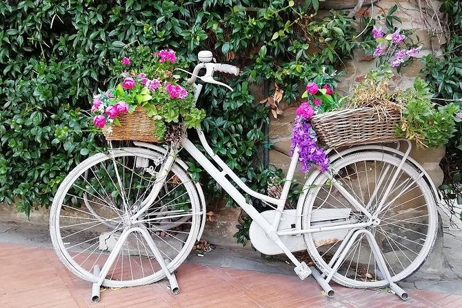 Half-Day Chianti Wine and Olive Oil Tour from Viareggio - Why this tour works well from Viareggio