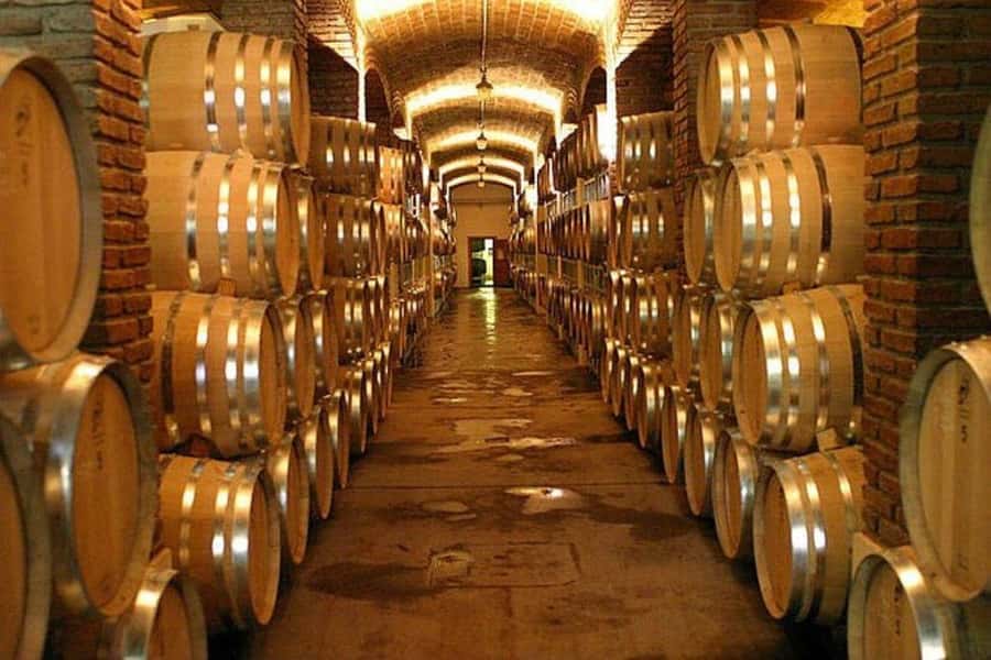 Half Day Tour of Wineries and Olive Oil from Mendoza - Key points to know before booking
