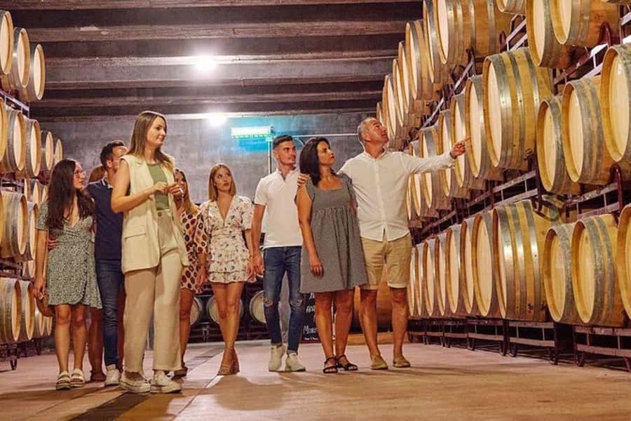 Half Day Tour of Wineries and Olive Oil from Mendoza - Why Maipú makes sense for a short Mendoza outing