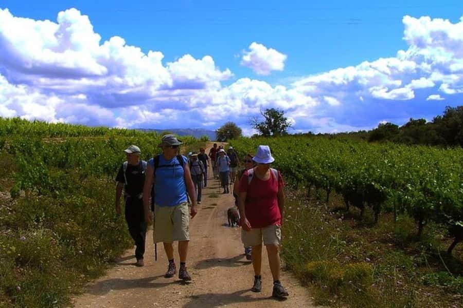 Half Day Tour of Wineries and Olive Oil from Mendoza - First winery: learning how Mendoza wine is made