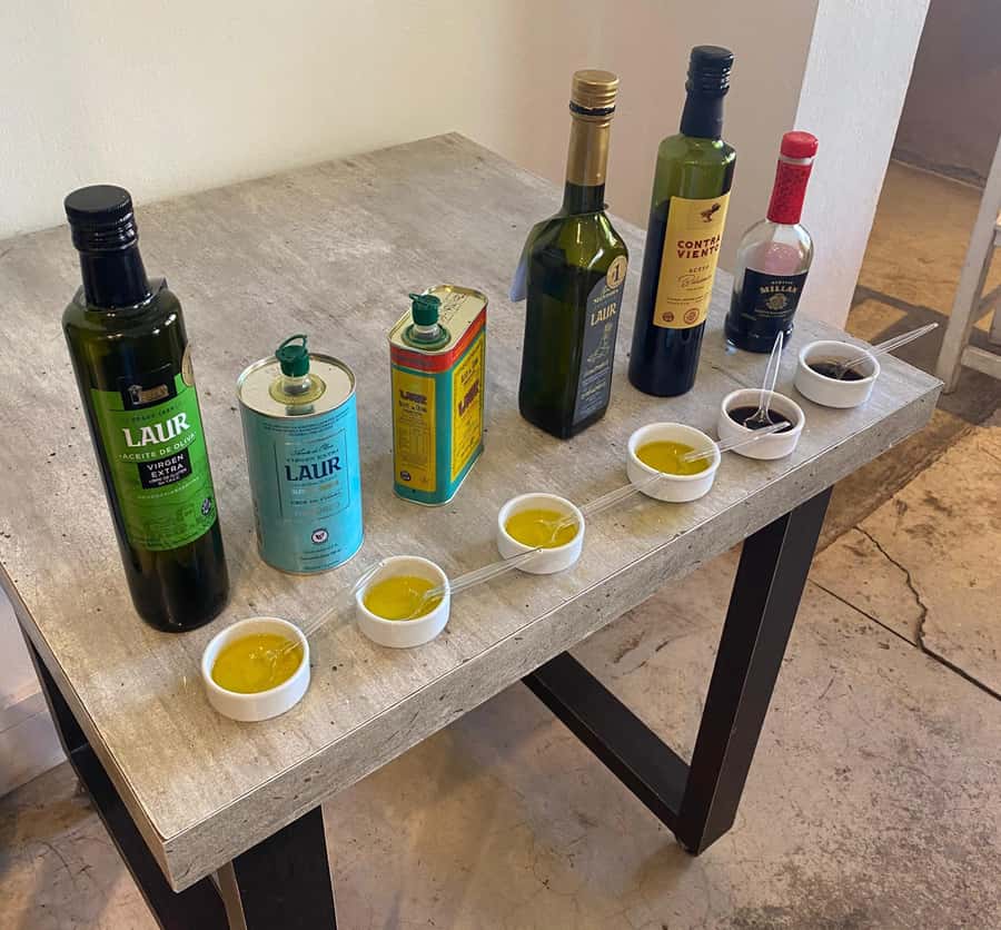 Half Day Tour of Wineries and Olive Oil from Mendoza - Tastings, purchases, and the cash question