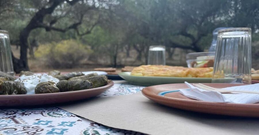 Heraklion: Cretan Farmers Brunch and Olive Grove Tour - The experience in six useful points