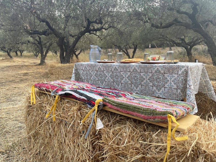 Heraklion: Cretan Farmers Brunch and Olive Grove Tour - Arriving at the olive grove near Heraklion