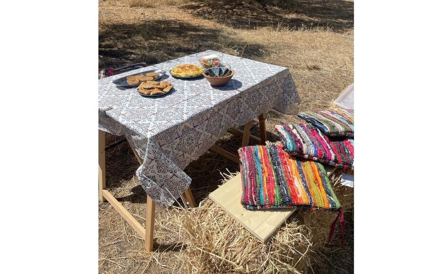 Heraklion: Cretan Farmers Brunch and Olive Grove Tour - The dragon fruit farm adds a genuine surprise