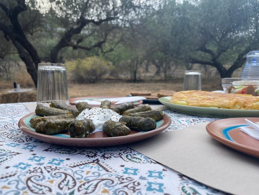 Heraklion: Cretan Farmers Brunch and Olive Grove Tour - Eating under the trees, or on the covered terrace