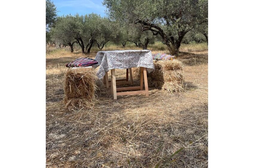 Heraklion :Olive & Dragon Farm Tour & Cretan Farmers Brunch - Arriving at the Cretan Dragon Farm