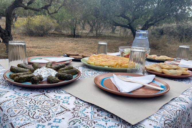 Heraklion:Olive & Dragon Fruit Farm Tour & Cretan Farmers Brunch - Walking among olive trees and learning about oil