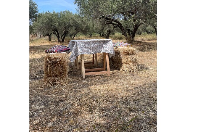 Heraklion:Olive & Dragon Fruit Farm Tour & Cretan Farmers Brunch - Who will enjoy this farm visit most