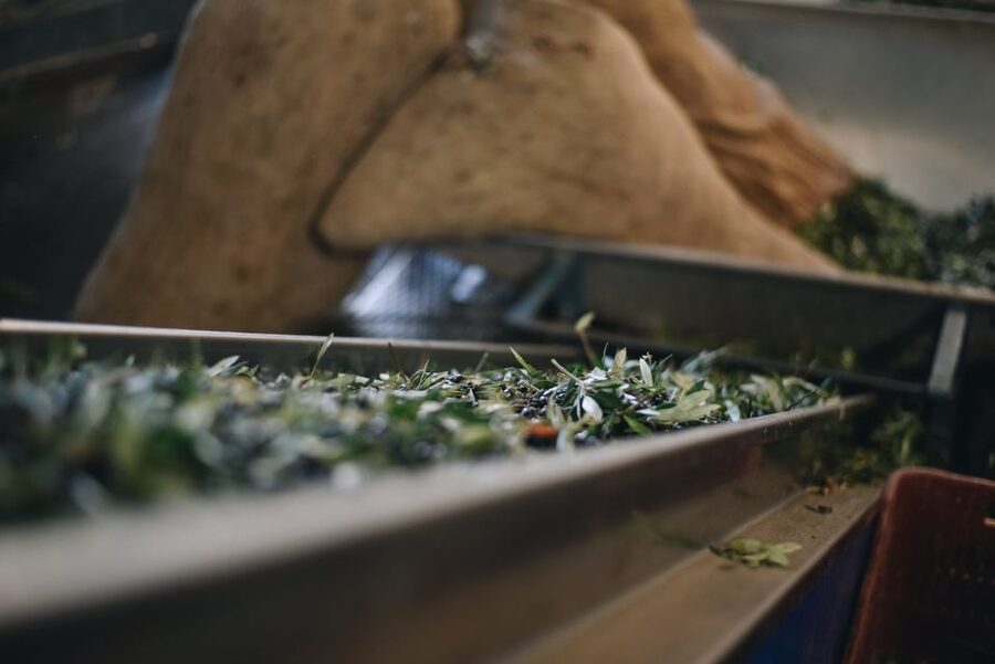 Heraklion: Olive Farm Tour with Tasting of Local Delicacies - Key points at a glance