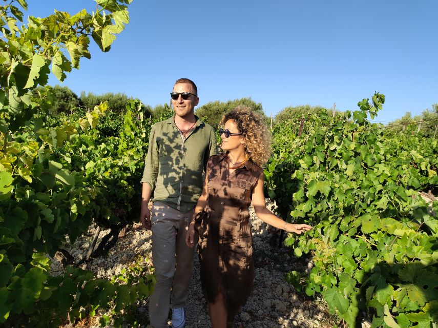 Heraklion: Olive oil and Wine Tour with Lunch - Six wines with a sommelier who listens