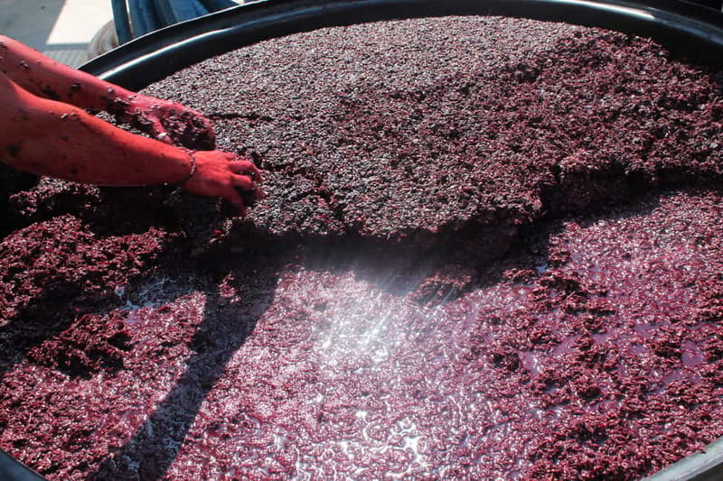 Heraklion: Olive oil and Wine Tour with Lunch - The countryside views and walking time