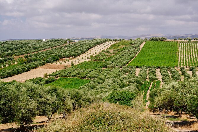 Heraklion Private Olive Oil and Wine Gastronomy tour with Lunch - Why the pairings matter