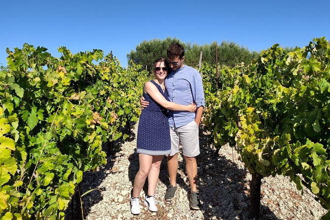 Heraklion Private Olive Oil and Wine Gastronomy tour with Lunch - Is $216.53 a fair price?