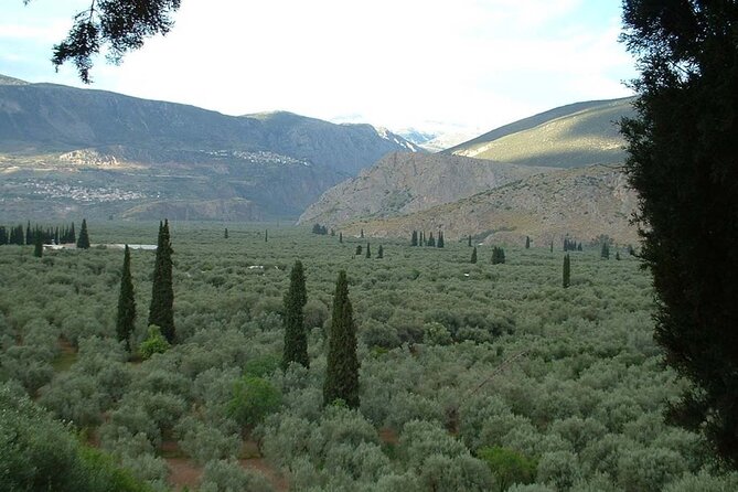 Hiking in the Olive Groves,Villages,Sunset,with Swim Stop - Rovinia cave and the abandoned villas