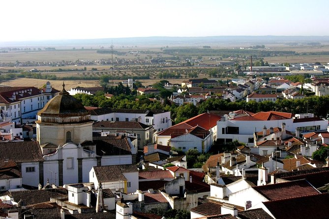 Historical Évora - PRIVATE Full Day Tour - Cork, Wine and Olive Oil Haven - Key points to know before booking