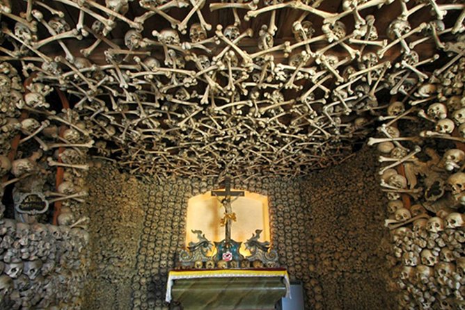 Historical Évora - PRIVATE Full Day Tour - Cork, Wine and Olive Oil Haven - Leaving Lisbon for Évora at 9 AM