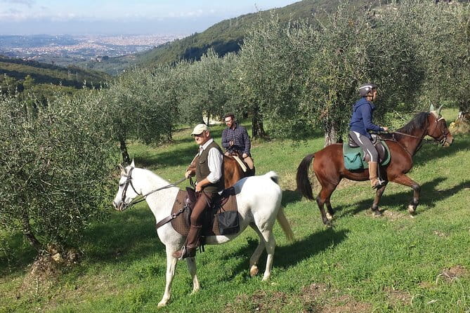 Horse ride, Olive Oil and local foods tasting in a Tuscan farm - Key points to know before booking