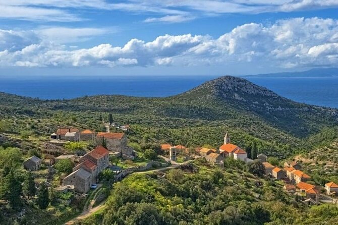 Hvar: Island tour with Wine and Olive Oil Tasting - Napoleon Fortress Gives You the Big Picture