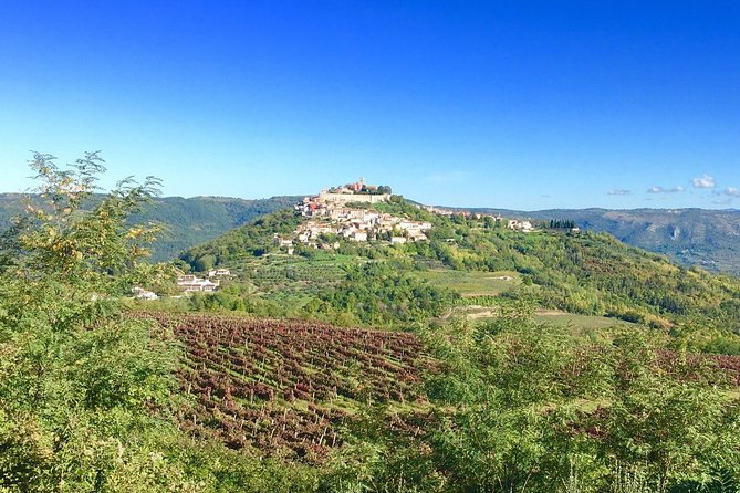 Istrian hill top cities tour with truffle and olive oil tasting - Motovun brings the main event