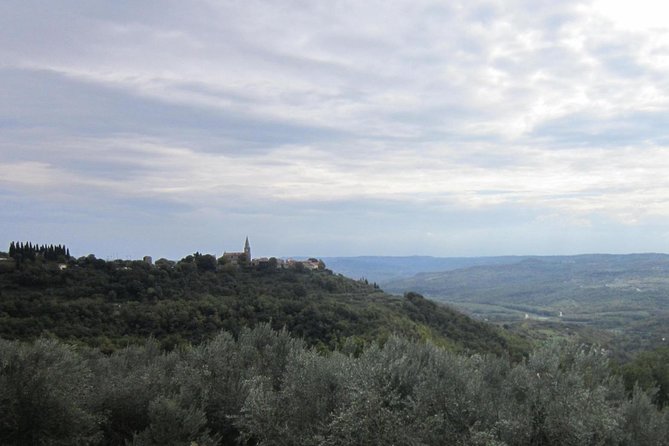 Istrian hill top cities tour with truffle and olive oil tasting - Olive oil tasting with room to compare